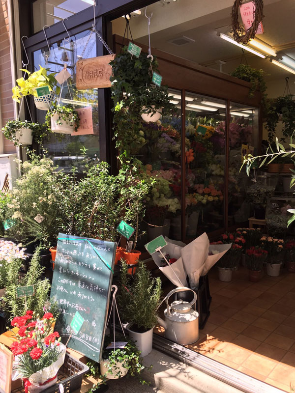 伸共花店の店内に並ぶ季節の花々